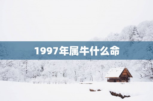 1997年属牛什么命