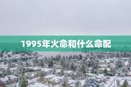 1995年火命和什么命配