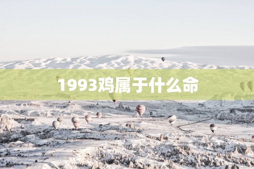1993鸡属于什么命