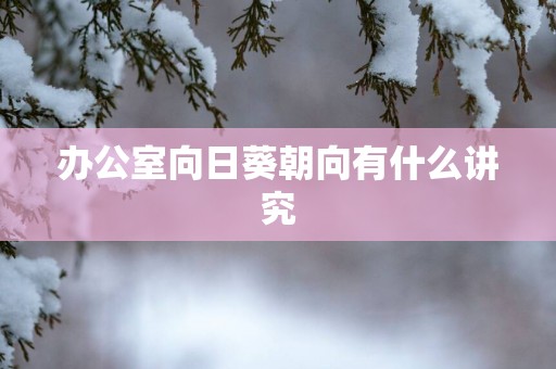 办公室向日葵朝向有什么讲究