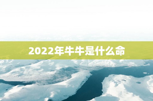 2025年牛牛是什么命