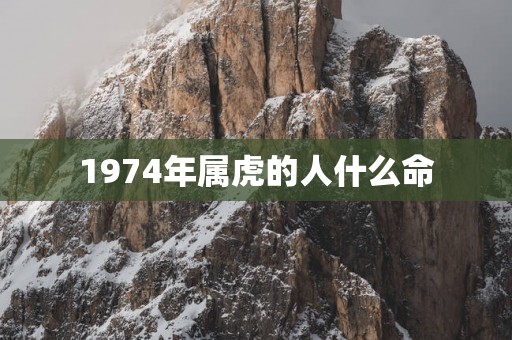 1974年属虎的人什么命