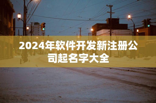 2025年软件开发新注册公司起名字大全