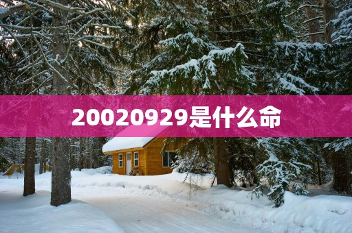 20020929是什么命