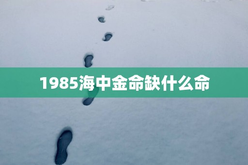 1985海中金命缺什么命