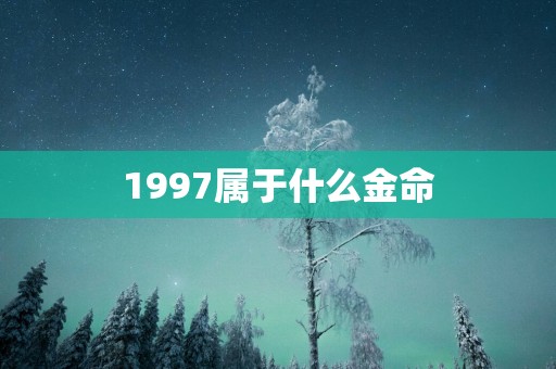1997属于什么金命
