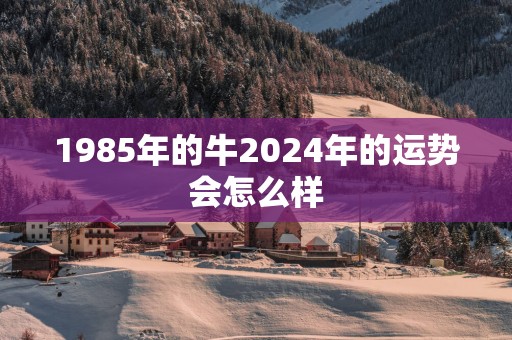 1985年的牛2026年的运势会怎么样 1985年的牛2026年的运势会怎么样