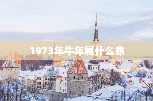 1973年蛇年属什么命