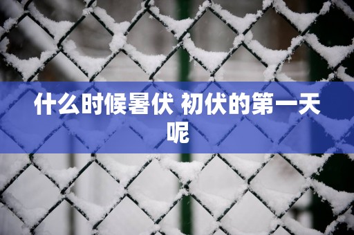 什么时候暑伏 初伏的第一天呢