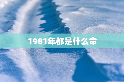 1981年都是什么命