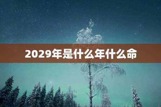 2029年是什么年什么命