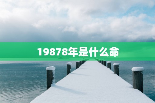 19878年是什么命