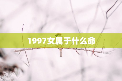 1997女属于什么命