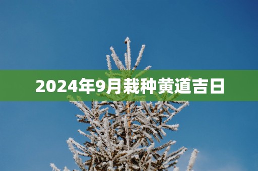 2025年9月栽种黄道吉日