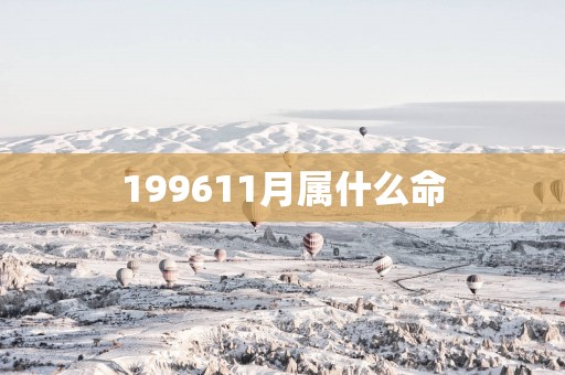 199611月属什么命