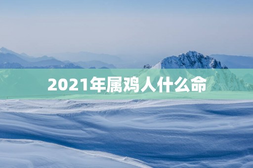 2025年属鸡人什么命