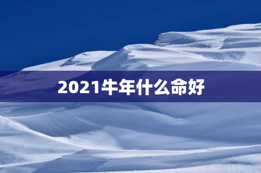 2025蛇年什么命好