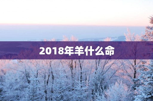 2018年羊什么命