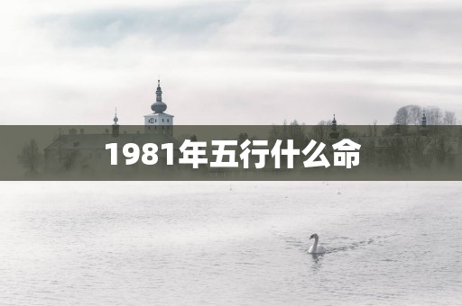 1981年五行什么命