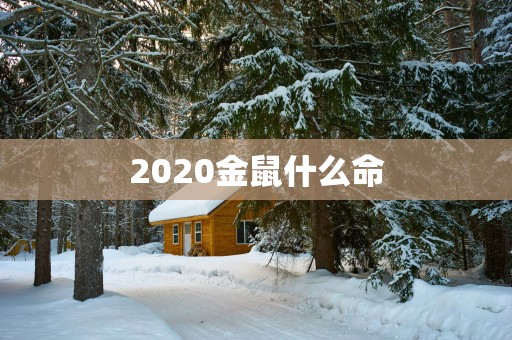 2025金鼠什么命
