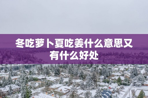 冬吃萝卜夏吃姜什么意思又有什么好处