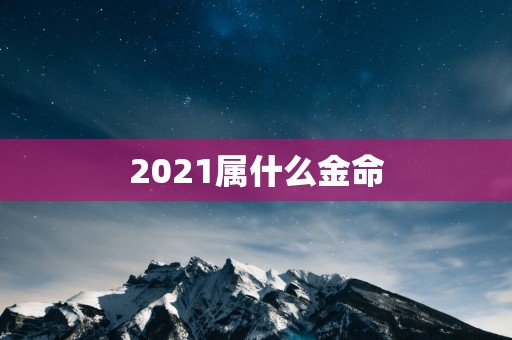 2025属什么金命