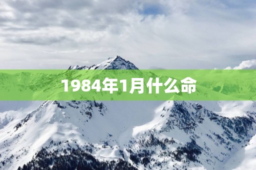 1984年1月什么命
