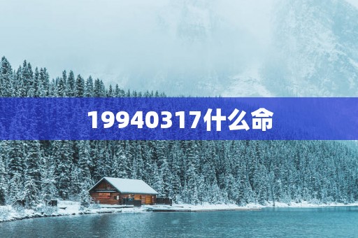 19940317什么命