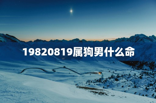 19820819属狗男什么命