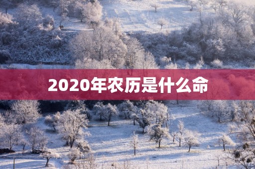 2025年农历是什么命
