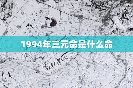 1994年三元命是什么命