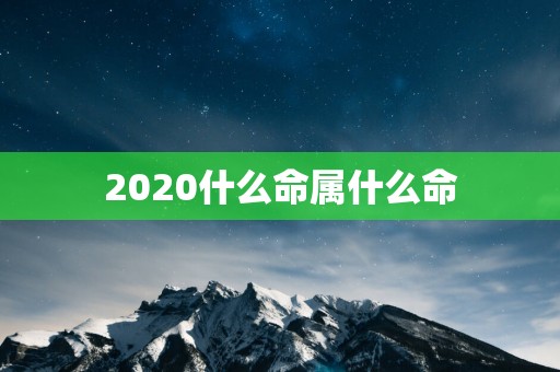 2025什么命属什么命
