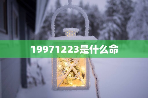 19971223是什么命