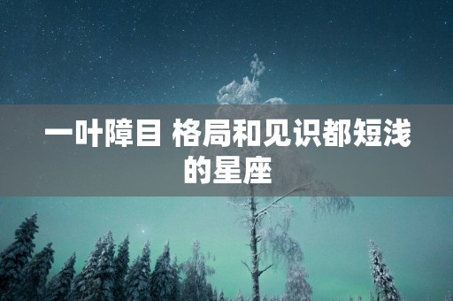 一叶障目 格局和见识都短浅的星座