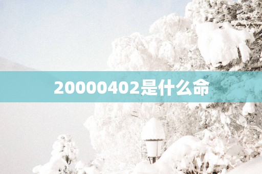 20000402是什么命