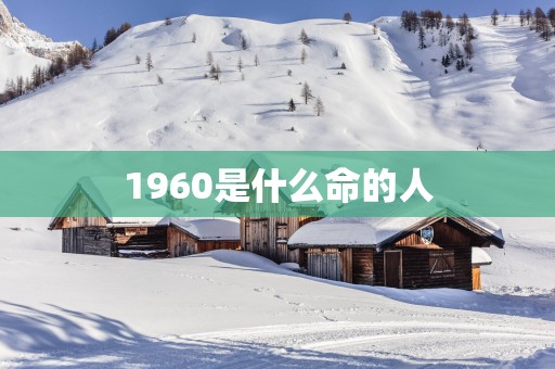 1960是什么命的人