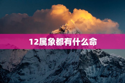 12属象都有什么命