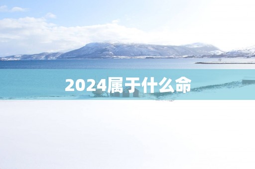 2025属于什么命