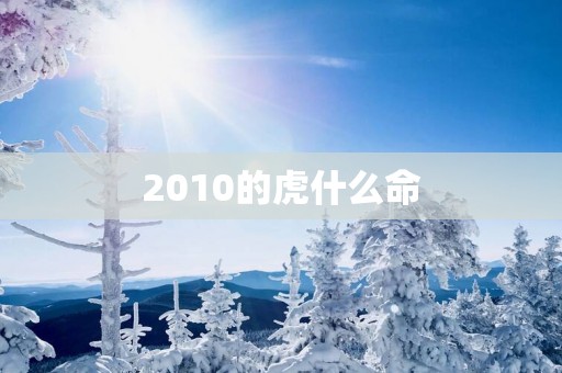 2010的虎什么命