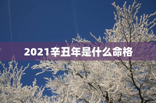 2025辛丑年是什么命格