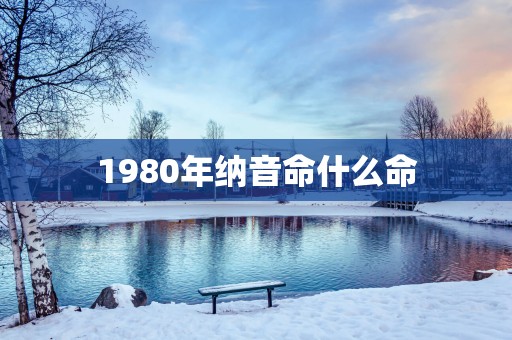 1980年纳音命什么命