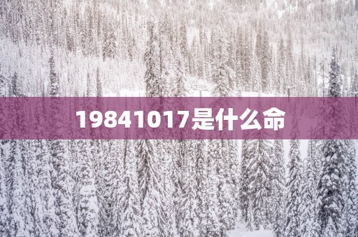 19841017是什么命