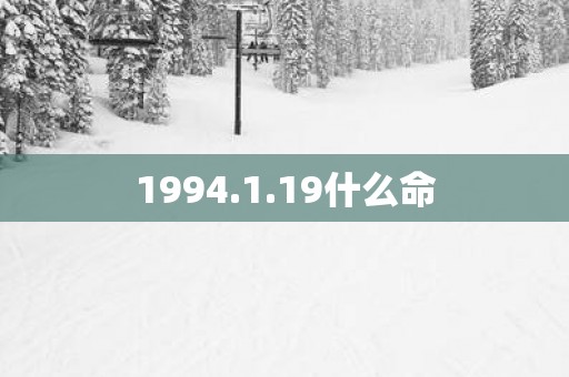 1994.1.19什么命