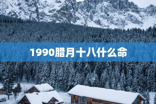1990腊月十八什么命