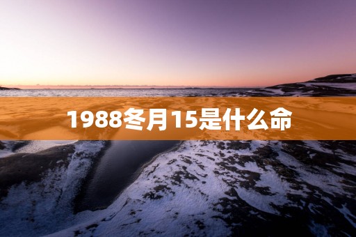 1988冬月15是什么命