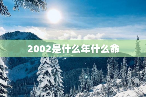 2002是什么年什么命