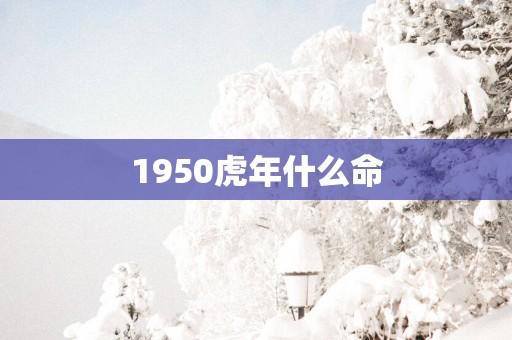 1950蛇年什么命