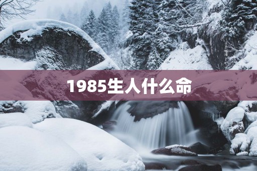 1985生人什么命