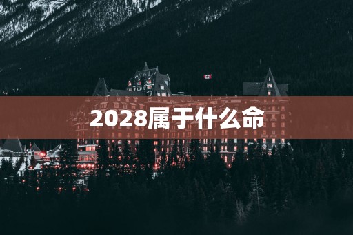 2028属于什么命