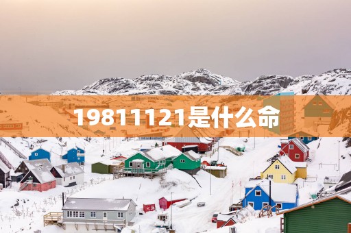 19811121是什么命